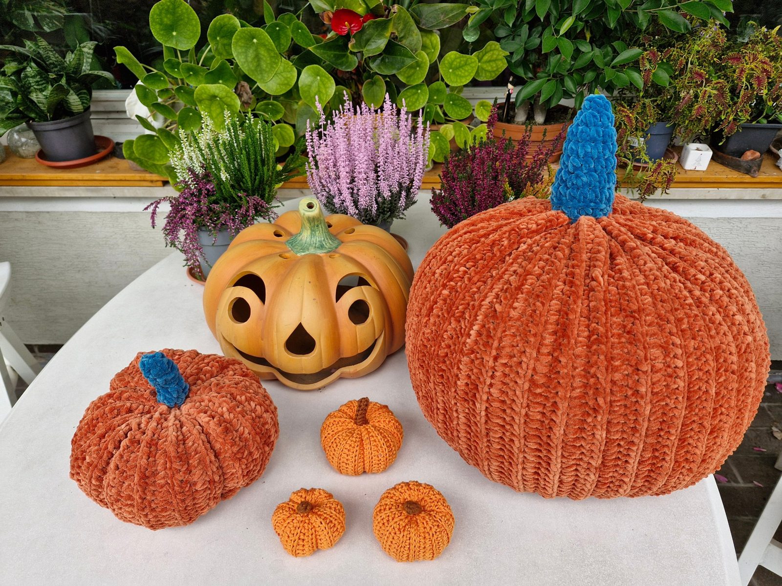 Five crochet pumpkins on a white garden table: a large and a medium orange velvet pumpkin with blue stems, three small cotton pumpkins and a ceramic jack-o-lantern in front of autumn heather